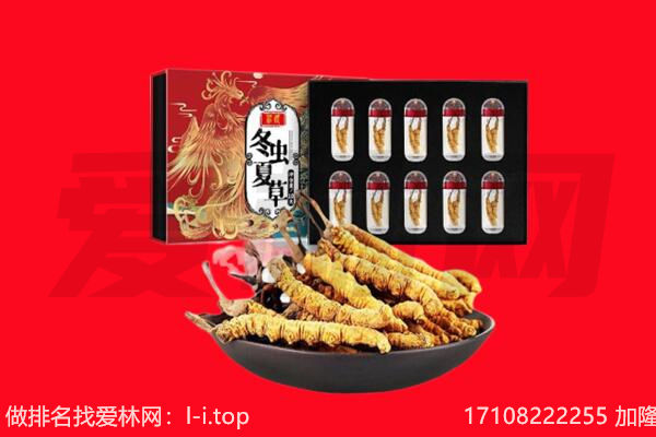 海晏县冬虫夏草回收
